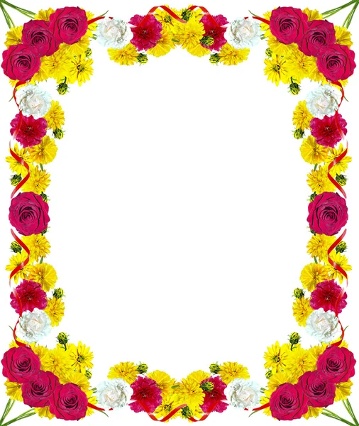 Dahlie Blume isoliert auf weißem Hintergrund — Stockfoto