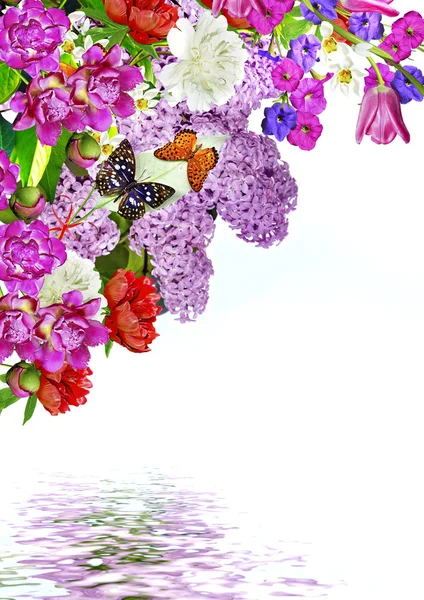 Floraler Hintergrund — Stockfoto