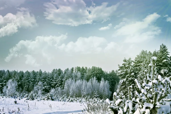 Winterwald. Winterlandschaft. — Stockfoto