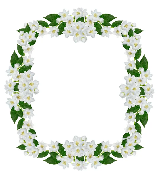 Frame of jasmine flowers — Stock Photo, Image