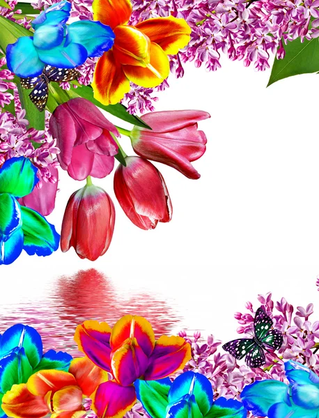 Flowers tulips and lilacs — Stock Photo, Image