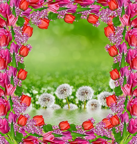 Floral background — Stock Photo, Image