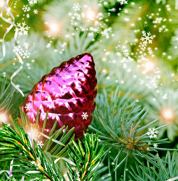 Рождественская сосновая шишка на елке — стоковое фото