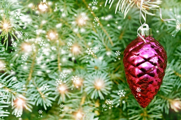 Рождественская сосновая шишка на елке — стоковое фото