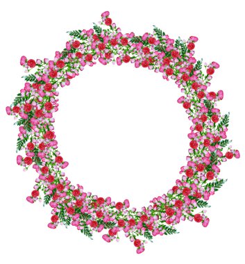 Beyaz bir arka plan üzerinde köpek rose (rosa canina) çiçekler