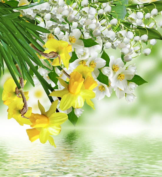 Frühlingsblumen Jasmin, Lilien und Narzissen — Stockfoto