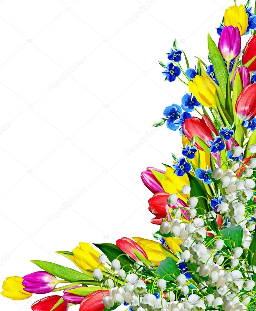 Spring flowers tulips, lilies of the valley and forget me
