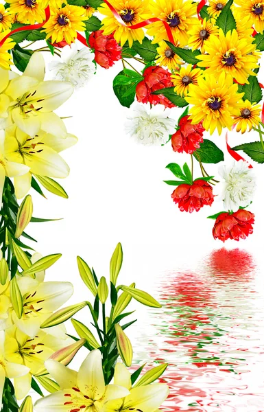 Peônia flores isoladas no fundo branco. rudbeckia — Fotografia de Stock