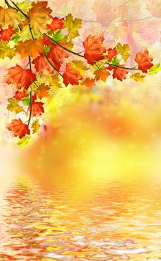 sonbahar yaprakları.