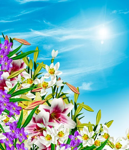 一束鲜花，背景为蓝色的天空 — 图库照片