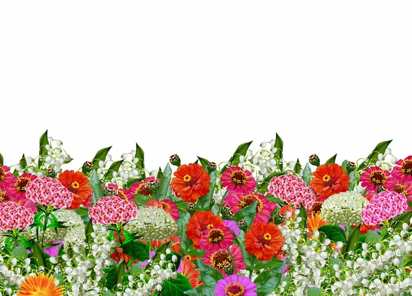 Floral background. flowers — Stock Photo, Image
