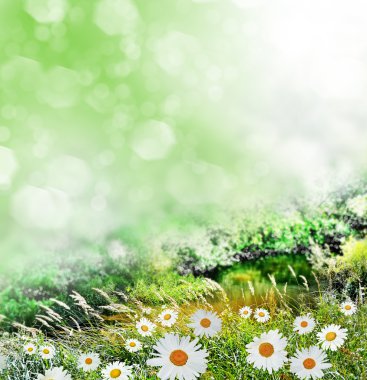 Yaz manzara. Ormandaki nehir.