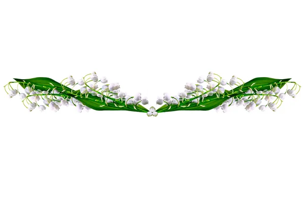 Гілка лілій квітів долини ізольована на білому фоні — стокове фото