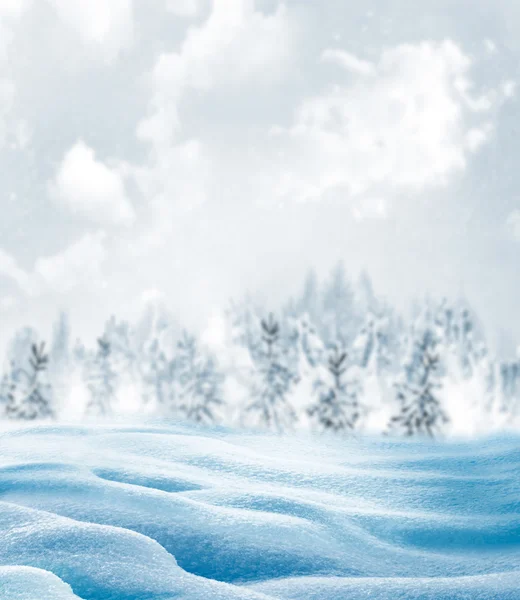 Zimowy Las. zimowy krajobraz. — Zdjęcie stockowe