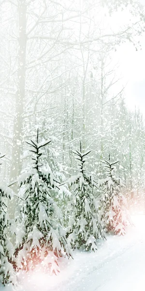 Vinter. snöfall. — Stockfoto