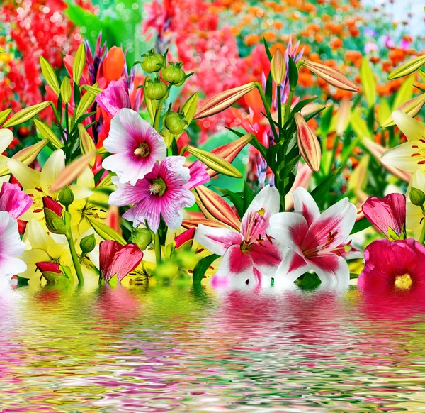 Καλοκαιρινές τοπίου. Λουλούδια κρίνο — Φωτογραφία Αρχείου