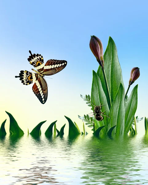 Летние цветы и бабочки на фоне голубого неба — стоковое фото