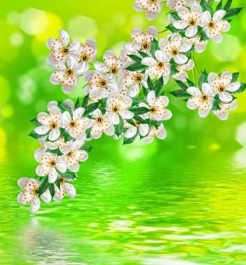 kaba yanmış Parşömen kağıdı arka plan