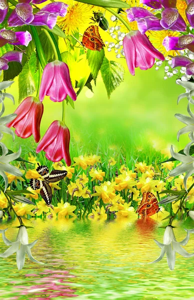 Sommerlandschaft. Blumen — Stockfoto