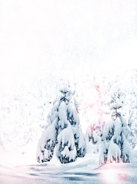 kış orman. Kış manzarası