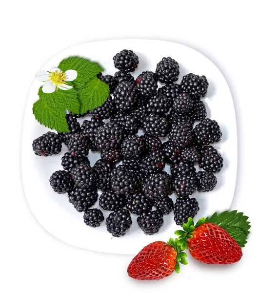 Brombeeren isoliert auf weißem Hintergrund — Stockfoto