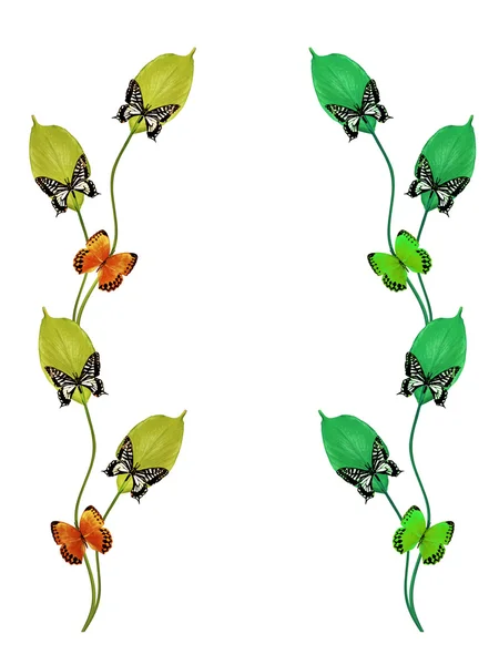 Branch of flowers and butterflies isolated on a white background — Stock Image Branch of flowers and butterflies isolated on a white background Stock Picture