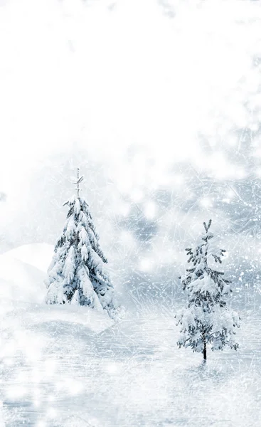 Winter forest — Stock Photo, Image