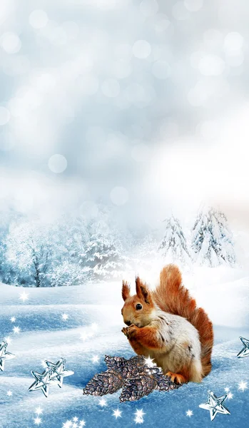 Ο σκίουρος στο δάσος χειμώνα. Κάρτα νέου έτους. — Φωτογραφία Αρχείου