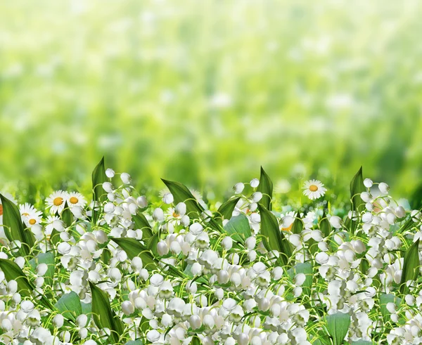 Hintergrund der Blumen. — Stockfoto