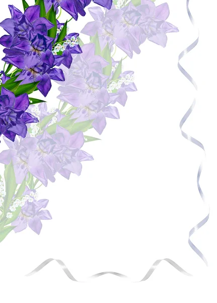 Flor de iris azul aislada sobre fondo blanco. Tarjeta de vacaciones —  Fotos de Stock