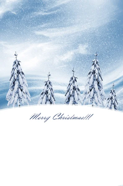 Winter landscape. christmas card — Stock Photo, Image