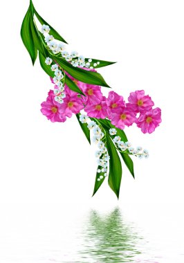 Tatil kartı gül ve lilyum vadi