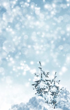 Kış manzarası ve Noel ağacı