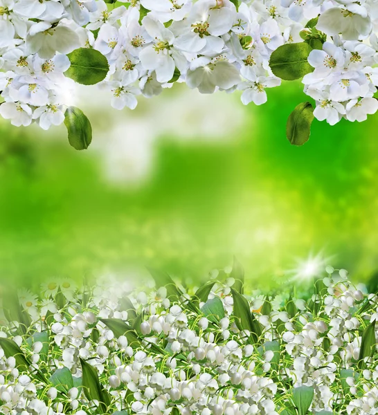 Hintergrund der Blumen. — Stockfoto