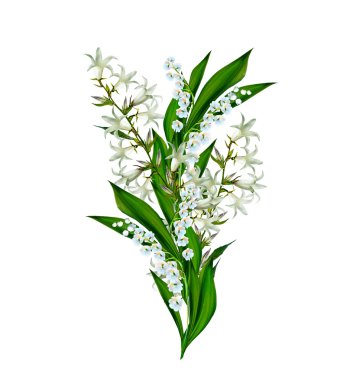 Beyaz arka plan üzerinde izole mavi çiçekler çan çiçeği