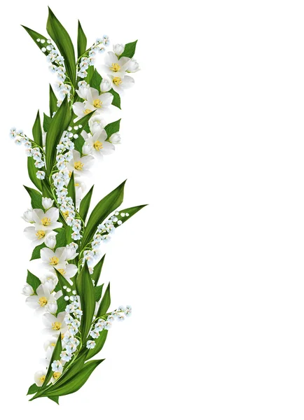 Ramo de flores de jasmim isolado no fundo branco — Fotografia de Stock