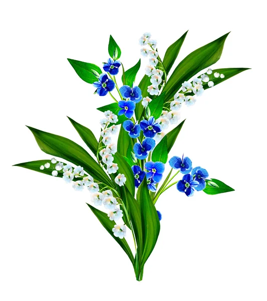 Forget-me-flower isolado no fundo branco — Fotografia de Stock