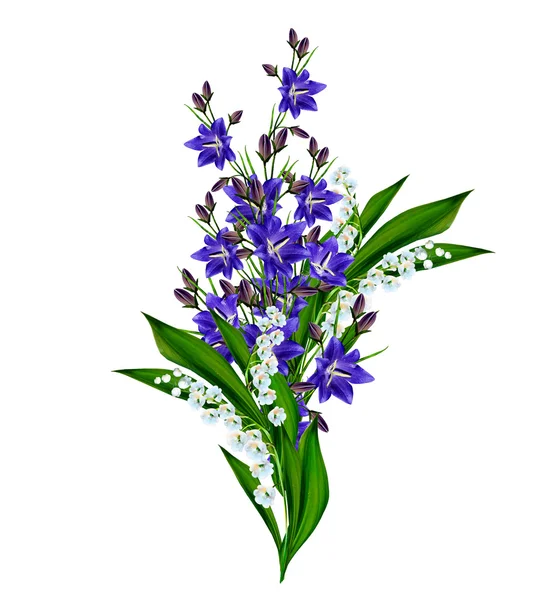 Blaue Blumen Glockenblume isoliert auf weißem Hintergrund — Stockfoto