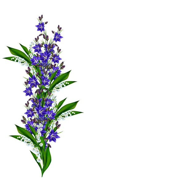Сині квіти кампанула ізольовані на білому тлі — стокове фото