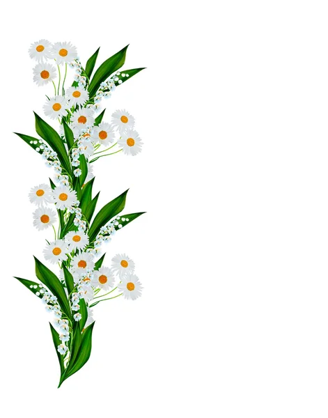 白地に白い夏の花を咲かせ — ストック写真