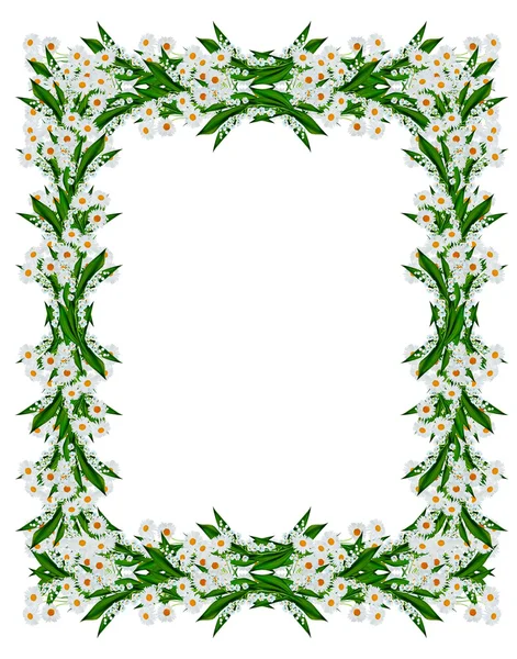 Round frame of flowers daisies — Stock Photo, Image