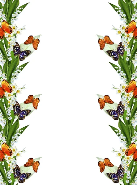 Gałąź kwiaty i motyle na białym tle na białym tle — Zdjęcie stockowe