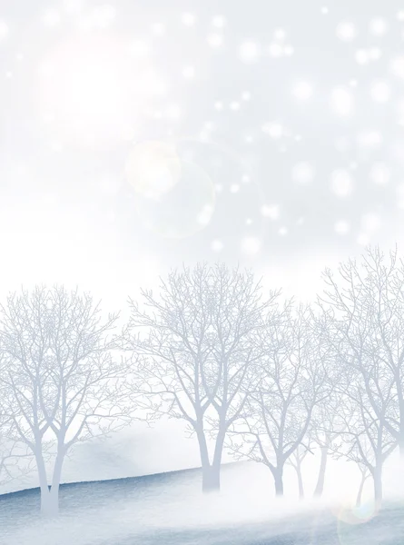 Las zimowy. — Zdjęcie stockowe
