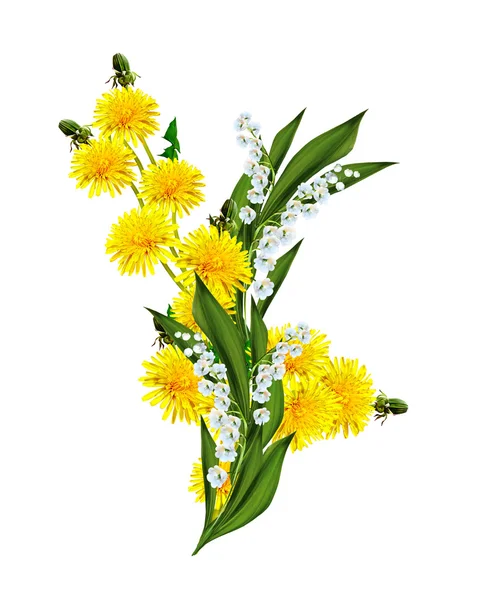 Dandelion flowers isolated on white background — Stock Photo, Image
