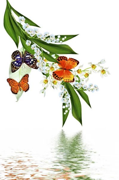 Gren av blommor och fjärilar isolerad på en vit bakgrund — Stockfoto