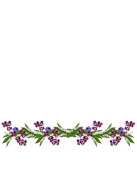 Pansy flowers isolated on white background — Stock Photo, Image