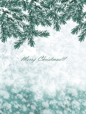 kış orman. Kış manzarası.