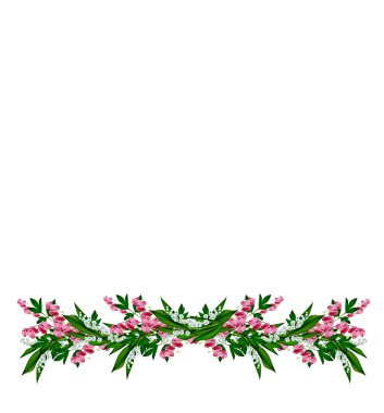 Vadideki zambak beyaz arka planda izole edilmiş