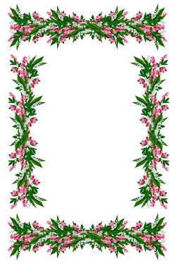 Vadideki zambak beyaz arka planda izole edilmiş