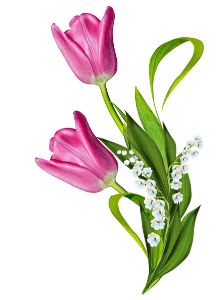 Bahar çiçekleri beyaz arkaplanda izole laleler — Stok fotoğraf